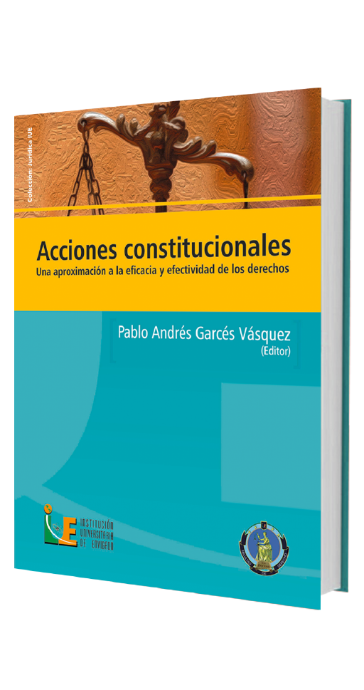 acciones-constitucionales-una-aproximacion-a-la-eficacia-y-efectividad-de-los-derechos